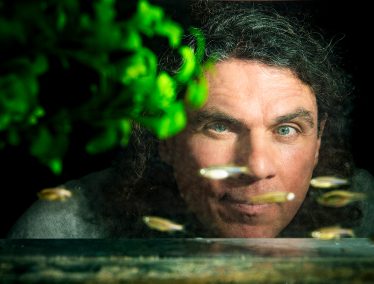 Francisco Pelegri peers into a fish tank, with dwarf danio fish swimming between him and the camera.