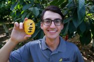 Adam D’Angelo holds up half a pawpaw fruit.