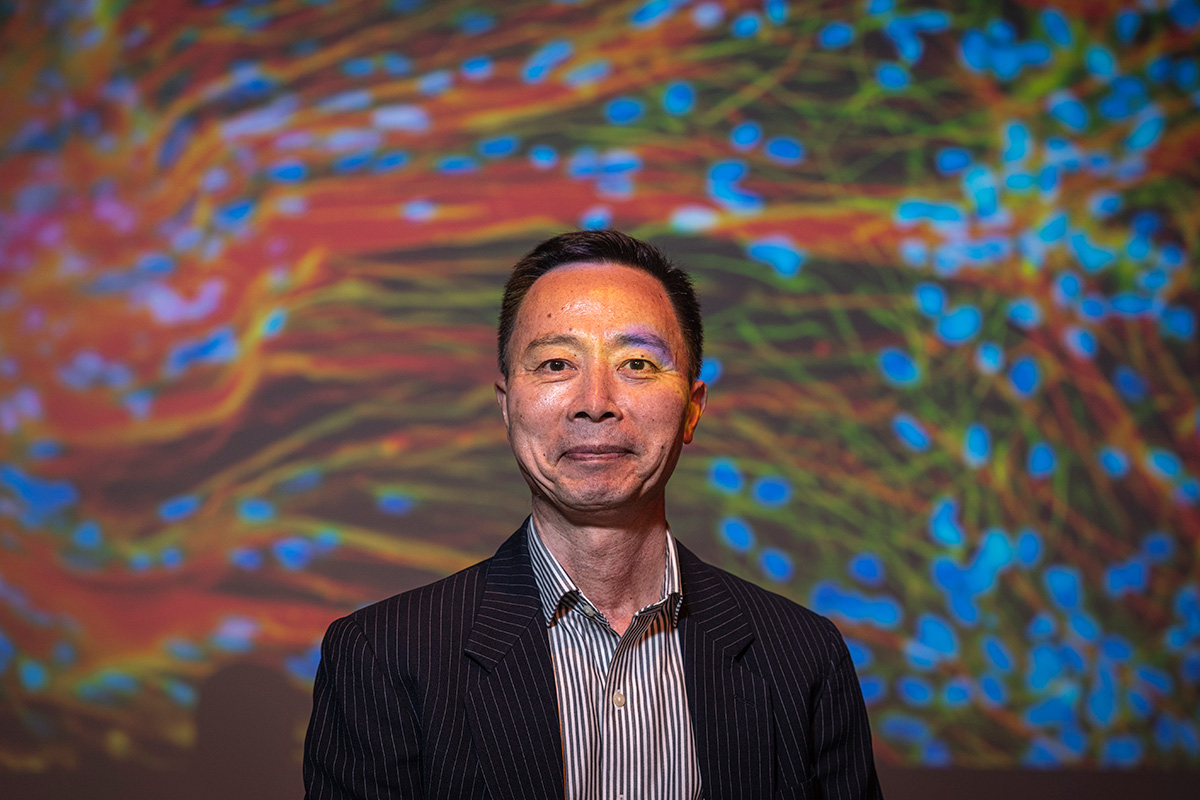 Su-Chun Zhang standing in front of a projected image of brightly colored neurons and glial cells.