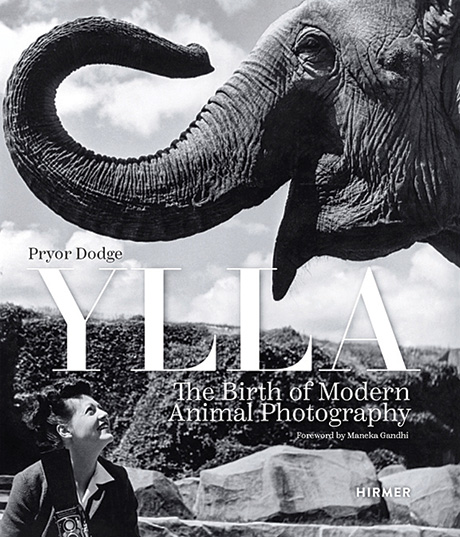The book cover of Ylla, the birth of modern Animal Photography, by Pryor Dodge depicting a woman looking at an elephant with its trunk raised.