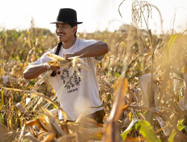 Indigenous man stands in corn field holding ear of corn