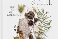 Cover of the book 'Still', which shows a still life collection of natural objects – fern leaves, seed pods, dried flowers, leaves, and more.