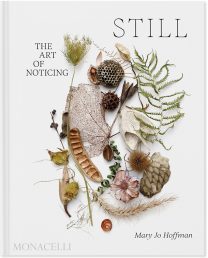 Cover of the book 'Still', which shows a still life collection of natural objects – fern leaves, seed pods, dried flowers, leaves, and more.