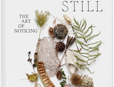 Cover of the book 'Still', which shows a still life collection of natural objects – fern leaves, seed pods, dried flowers, leaves, and more.