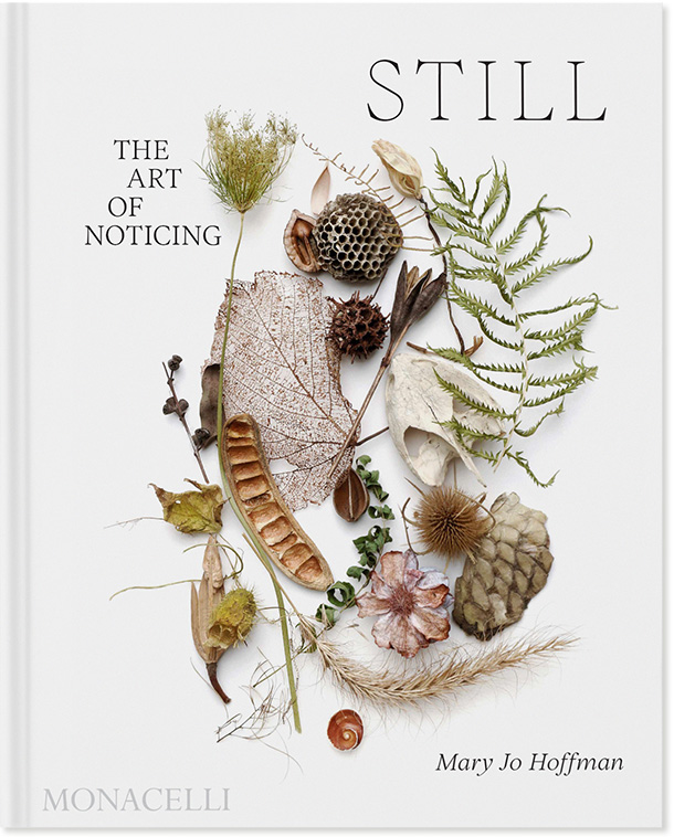 Cover of the book 'Still', which shows a still life collection of natural objects – fern leaves, seed pods, dried flowers, leaves, and more. 