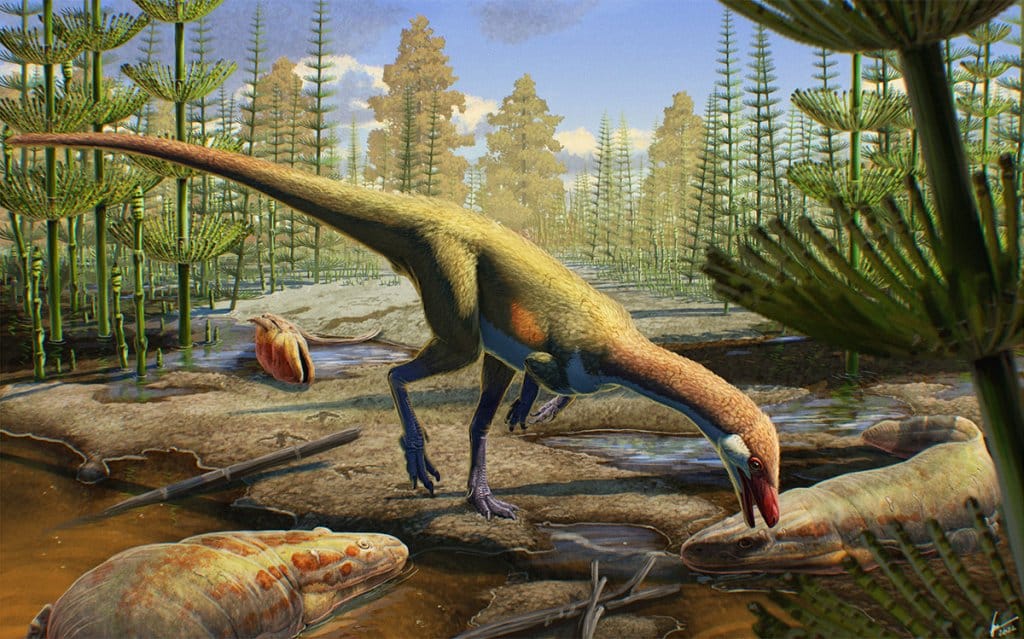 A prehistoric scene featuring a dinosaur with a long neck and tail, standing on a muddy terrain surrounded by primitive plants and two large amphibians in the water.