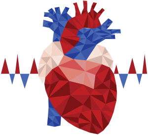 A geometric illustration of a human heart, composed of various polygons in shades of red, blue, and white.