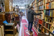 A person browses books on a tall bookshelf in a cozy, well-lit bookstore with wooden shelves and colorful rugs.