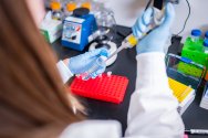 A researcher fills a tube in a lab at Immuto Scientific in Madison