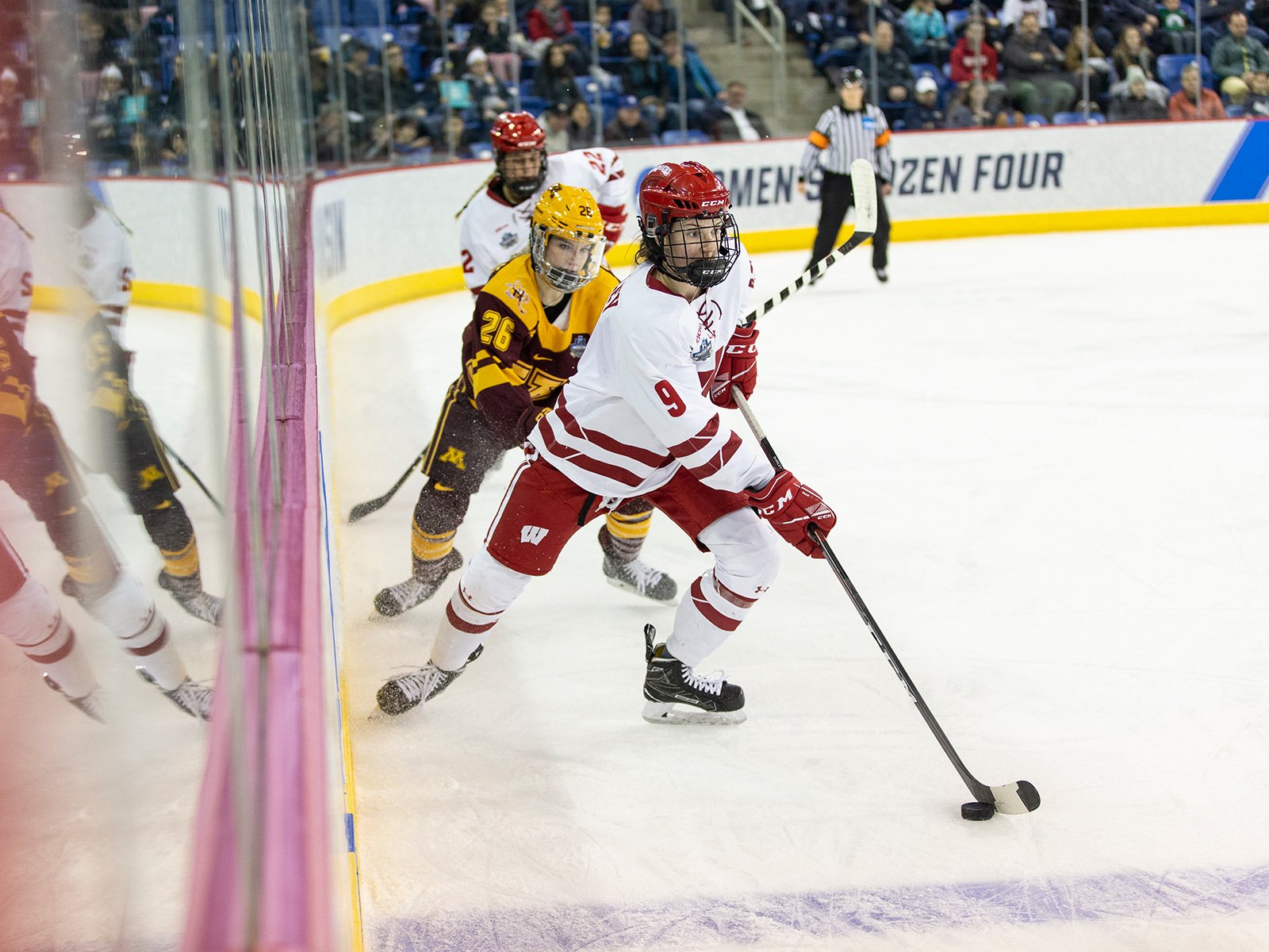 Two hockey players --one Badger and one Gopher -- compete for the puck along the boards during a game at an indoor rink, with an official and spectators in the background and 'Women's Frozen Four' visible on the boards.