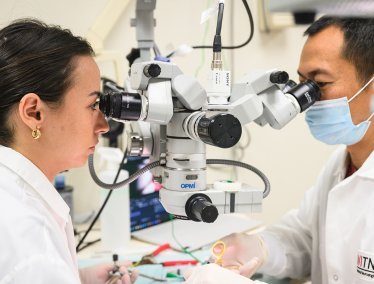 Two researchers in white lab coats work with a high-precision microscope equipped with a camera in a laboratory, highlighting advanced scientific research and technical expertise.