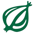 The Onion logo – a green outline of an onion shape.