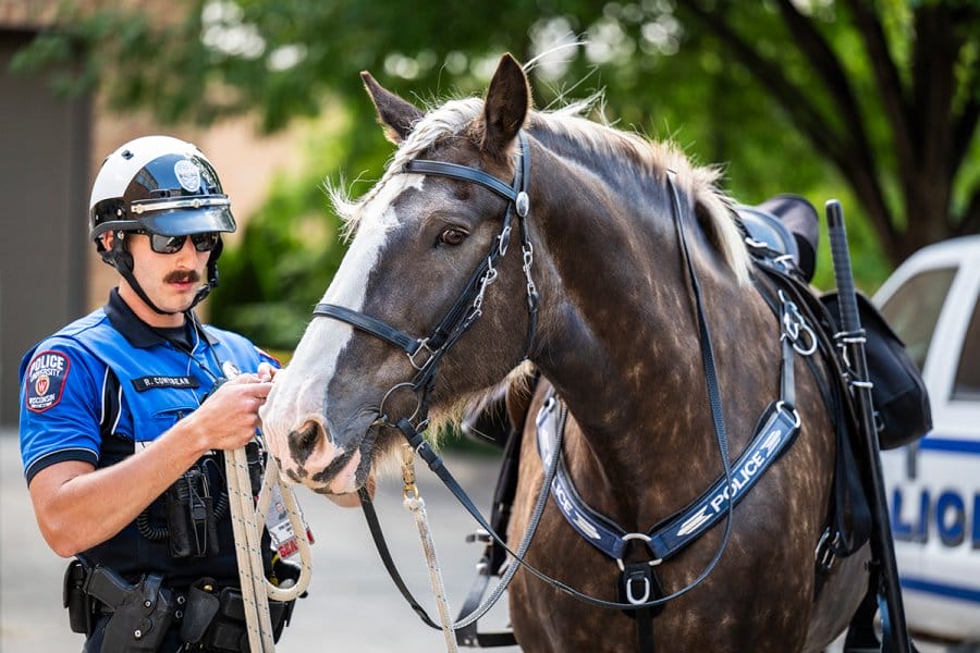 A police officer in a blue uniform holds the reins of a gray horse.