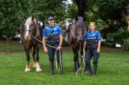 Two police officers stand in a grassy area with trees, holding the reins of two large horses.