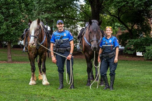 Two police officers stand in a grassy area with trees, holding the reins of two large horses.