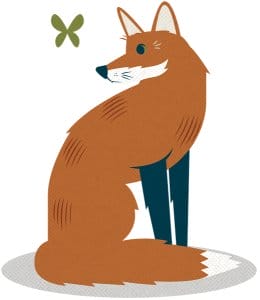 Illustration of a stylized orange fox with a white-tipped tail sitting on a gray oval rug, looking at a green butterfly.