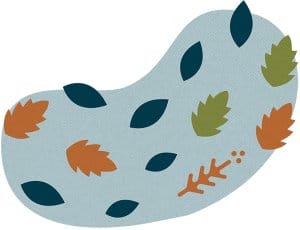 Illustration of a light blue abstract shape representing wind, scattered with colorful autumn leaves in orange, green, and dark blue.