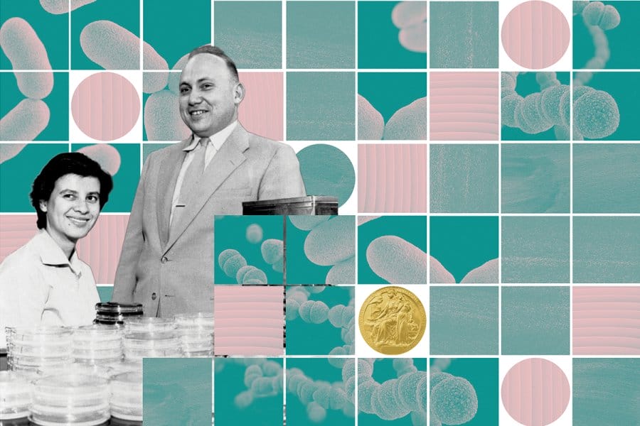 Teal and pink collage with bacteria, petri dishes, and Joshua and Esther Lederberg.