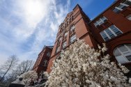 Science Hall is seen with flowering magnolia blossoms and blue sky on a beautiful spring day.
