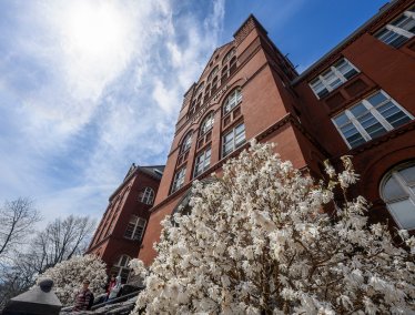 Science Hall is seen with flowering magnolia blossoms and blue sky on a beautiful spring day.