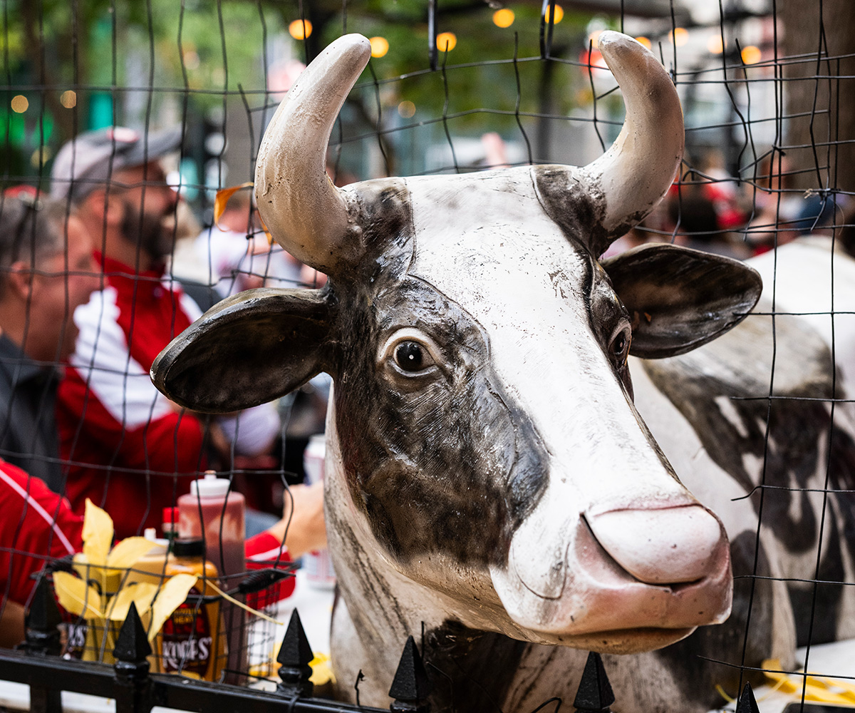 A life‑sized cow statue stands behind a fence in an outdoor dining area decorated with string lights and autumn leaves.