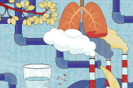 An illustration shows lungs, pipes, smoke stacks, leaves, a glass of water, clouds, and a small airplane arranged in a collage highlighting themes of environment and pollution.