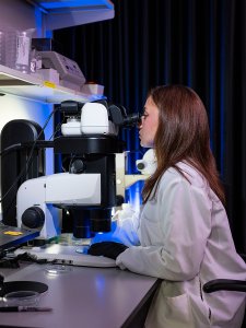 A woman in a lab coat wearing gloves looks through a microscope in a laboratory, with scientific equipment and containers arranged on the workbench nearby.