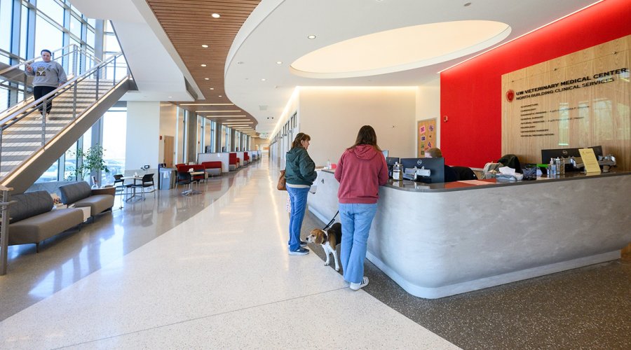 A wide view of the UW Veterinary Medical Center's spacious lobby, showing clients with a beagle at a curved reception desk, a grand staircase, and a long hallway lined with windows and seating.