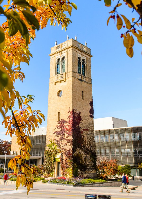 A stone carillon tower partially covered in colorful autumn ivy, framed by bright yellow foliage against a clear blue sky as pedestrians walk nearby.