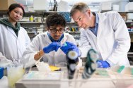 A scientist in a white lab coat guides a young researcher closely examining a glass sample slide at a laboratory workbench while a colleague observes from the background.