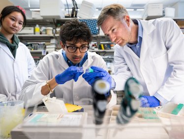 A scientist in a white lab coat guides a young researcher closely examining a glass sample slide at a laboratory workbench while a colleague observes from the background.