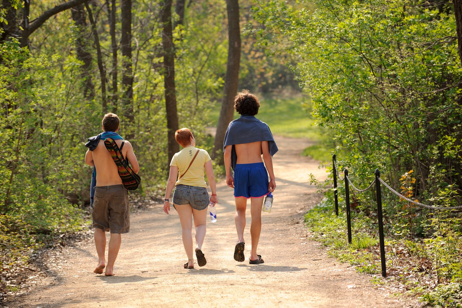 Three young adults walk away from the camera down Lakeshore Path through a sunlit, leafy area.