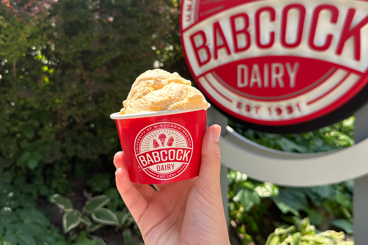 A hand holds a red cup filled with yellow ice cream in front of a circular Babcock Dairy sign framed by green foliage.