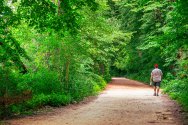 A person wearing a red cap walks away from the camera down a shaded dirt path surrounded by dense green foliage.