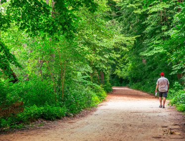 A person wearing a red cap walks away from the camera down a shaded dirt path surrounded by dense green foliage.