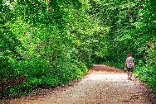 A person wearing a red cap walks away from the camera down a shaded dirt path surrounded by dense green foliage.