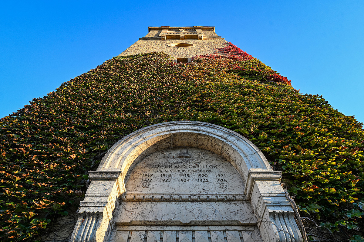 A low-angle view looking up at the ivy-covered Memorial Carillon tower and its inscribed stone entryway against a clear blue sky.