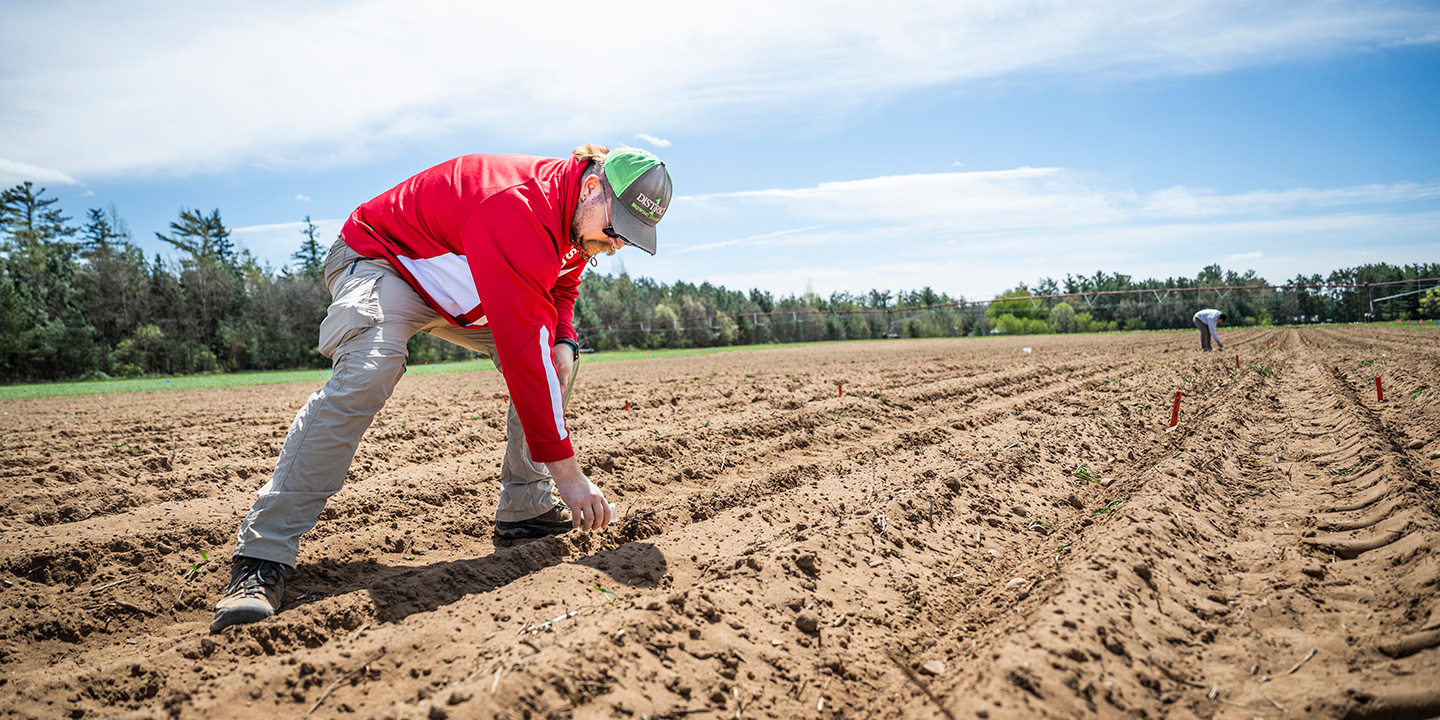 A person wearing a red jacket and baseball cap bends down to work in the tilled soil of an agricultural field during potato planting.