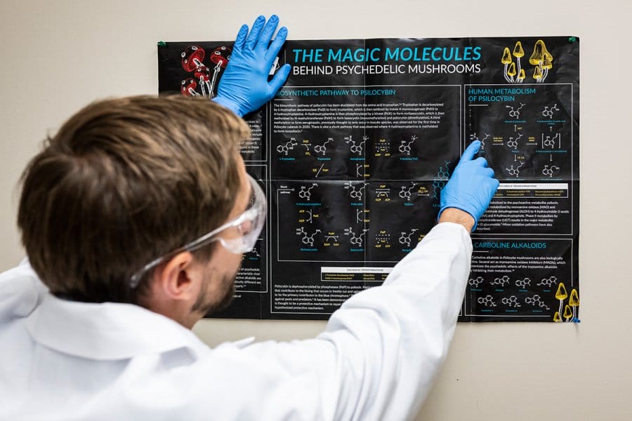 A lab researcher wearing safety glasses and blue gloves points to a poster outlining the chemical pathways and human metabolism of psilocybin.